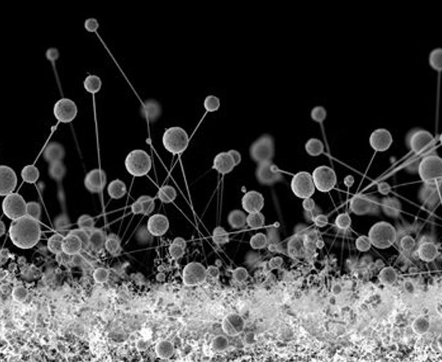 ESD Additive fuer Farbe und Lacke