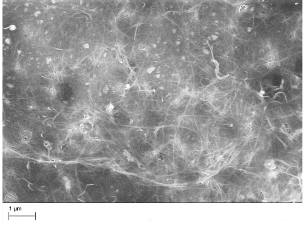 MWCNT wässrige Dispersion